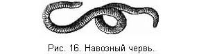 Жизнь и ловля пресноводных рыб. Часть 1