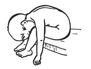 Елена Архипова - Ранняя диагностика и коррекция проблем развития. Первый год...