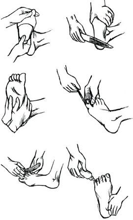 Алеся Гриб, Наталья Шешко - Маникюр и педикюр