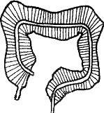 Геннадий Малахов - Очищение организма и здоровье