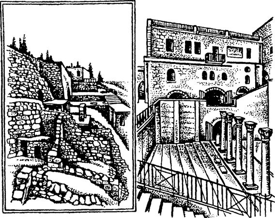 Людмила Багрова - Я познаю мир. Страны и народы