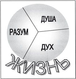 Иван Подласый - Педагогика. Книга 1: Общие основы: Учебник для вузов