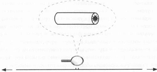 Шинтан Яу, Стив Надис - Теория струн и скрытые измерения Вселенной