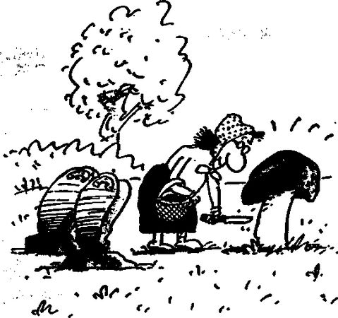 Дмитрий Циликин - Вопрос ниже пояса. Он