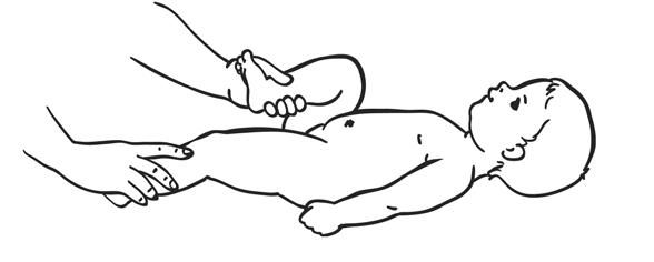 Елена Архипова - Ранняя диагностика и коррекция проблем развития. Первый год...