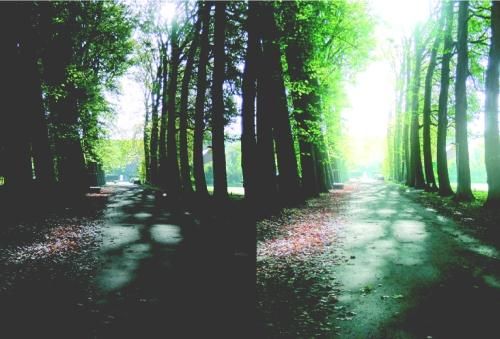 Сергей Бондаренко, Марина Бондаренко - Photoshop. Лучшие фильтры