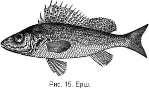 Л. Сабанеев - Жизнь и ловля пресноводных рыб. Часть 1