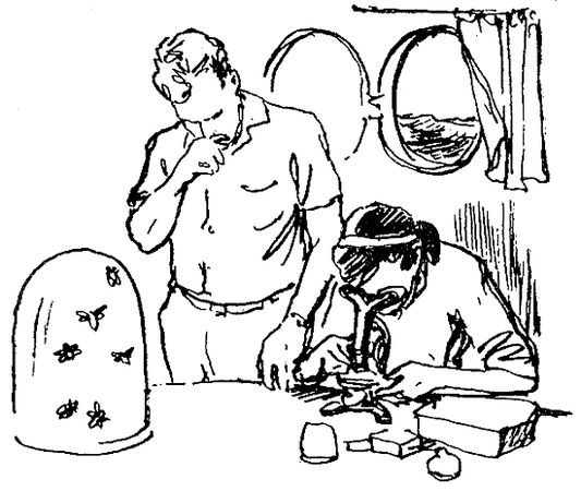 Николай Леонов, Георгий Садовников и др. - Искатель. 1967. Выпуск №1