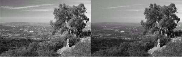 Сергей Бондаренко, Марина Бондаренко - Photoshop. Лучшие фильтры