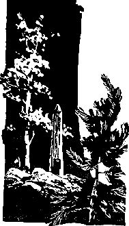 Григорий Федосеев - Злой дух Ямбуя