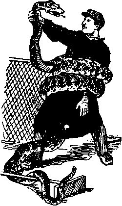 Максим Зверев - Ущелье барсов