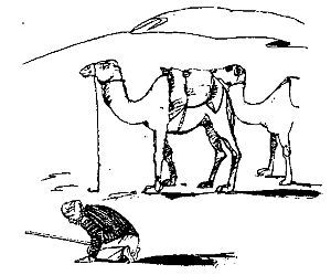 Брюс Ингхэм, Дж. Файад - Арабские страны: обычаи и этикет