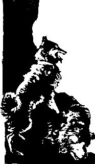 Григорий Федосеев - Злой дух Ямбуя