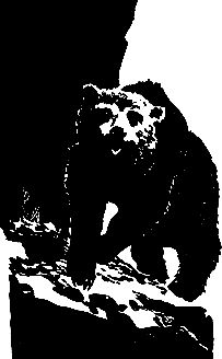 Григорий Федосеев - Злой дух Ямбуя