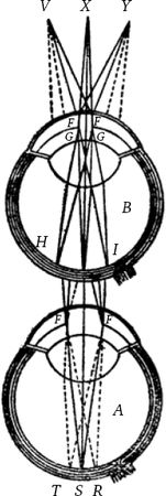 Сергей Вавилов - Глаз и Солнце