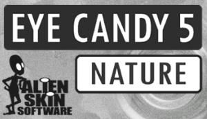 Сергей Бондаренко, Марина Бондаренко - Photoshop. Лучшие фильтры