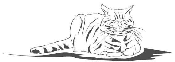 Джеймс Боуэн - Подарок от кота Боба. Как уличный кот помог человеку полюбить...