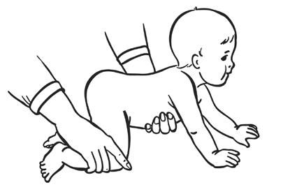 Елена Архипова - Ранняя диагностика и коррекция проблем развития. Первый год...