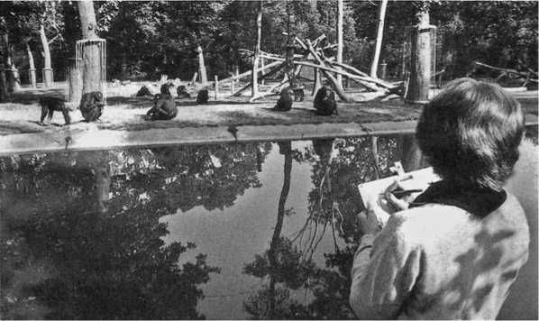 Франс де Вааль - Политика у шимпанзе. Власть и секс у приматов