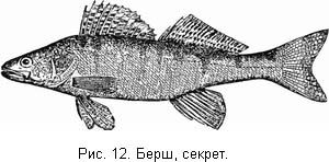 Жизнь и ловля пресноводных рыб. Часть 1