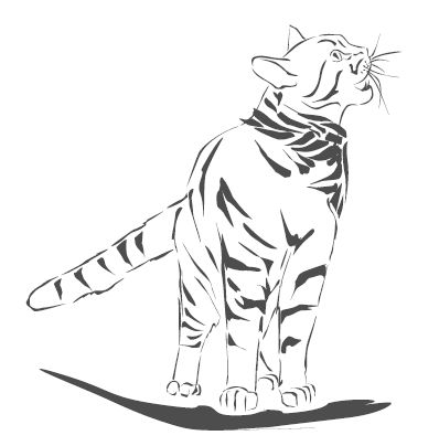 Джеймс Боуэн - Подарок от кота Боба. Как уличный кот помог человеку полюбить...