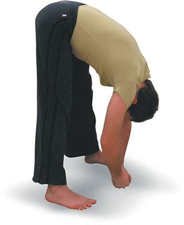 Андрей Липень - Йога. Большая книга лучших асан