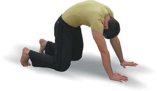 Андрей Липень - Йога. Большая книга лучших асан