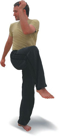 Андрей Липень - Йога. Большая книга лучших асан