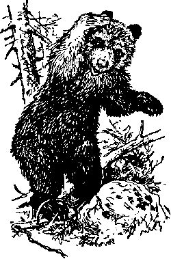 Максим Зверев - Ущелье барсов