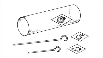 Елена Стребелева - Формирование мышления у детей с отклонениями в развитии