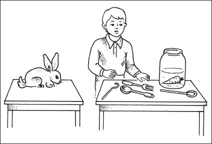 Елена Стребелева - Формирование мышления у детей с отклонениями в развитии