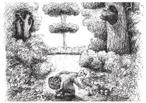 Виктор Коклюшкин - Алло, Люся, это я! (сборник)