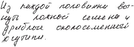 Практическая графология: как узнать...
