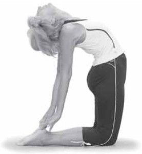 Татьяна Игнатьева - Лечебная йога. 50 лучших дыхательных упражнений и асан