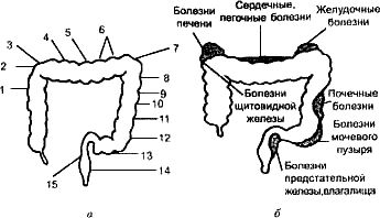 Геннадий Малахов - Очищение организма и здоровье