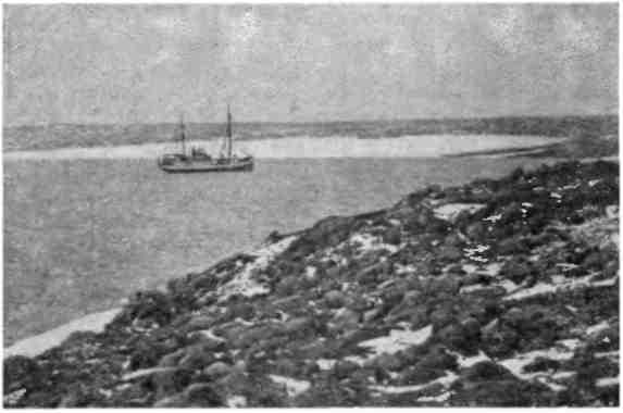 Николай Алексеев - Зимовка на "Торосе"