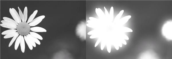 Сергей Бондаренко, Марина Бондаренко - Photoshop. Лучшие фильтры