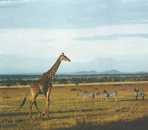 Светлана Хворостухина, Екатерина Горбачева - Географические открытия