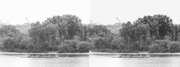 Сергей Бондаренко, Марина Бондаренко - Photoshop. Лучшие фильтры