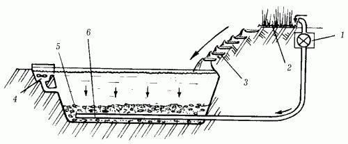 Ирина Скрипко - Системы полива