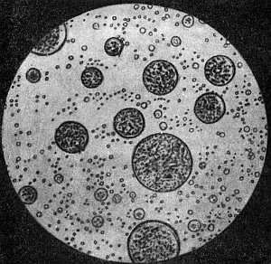 Антон Первушин - Оккультный Сталин