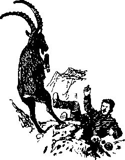 Максим Зверев - Ущелье барсов