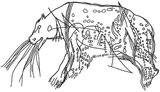 Роберто Боси - Лапландцы. Охотники за северными оленями