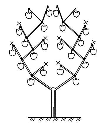 С. Калюжный - Парники и теплицы. Строим и выращиваем