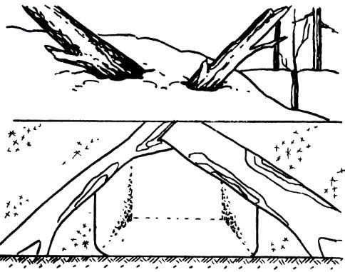 Андрей Ильичев - Школа выживания. Зимняя аварийная ситуация