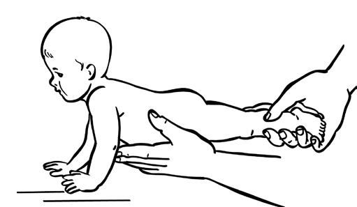 Елена Архипова - Ранняя диагностика и коррекция проблем развития. Первый год...