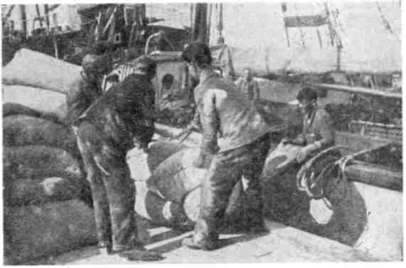 Николай Алексеев - Зимовка на "Торосе"