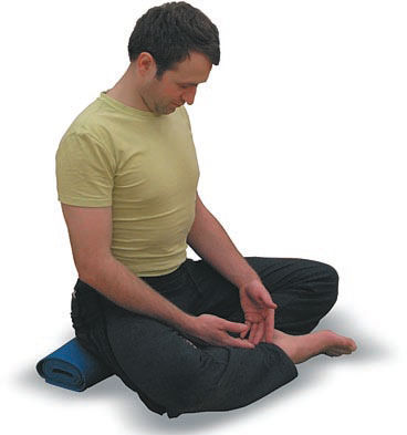 Андрей Липень - Йога. Большая книга лучших асан