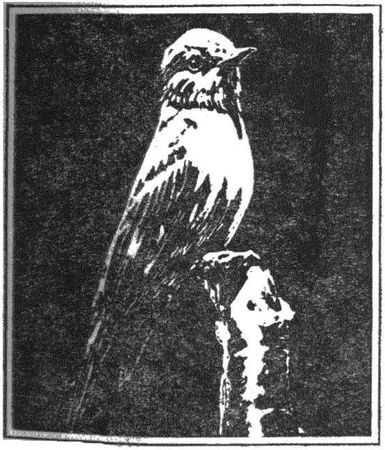 Леонид Семаго - Гнездо над крыльцом