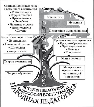 Иван Подласый - Педагогика. Книга 1: Общие основы: Учебник для вузов